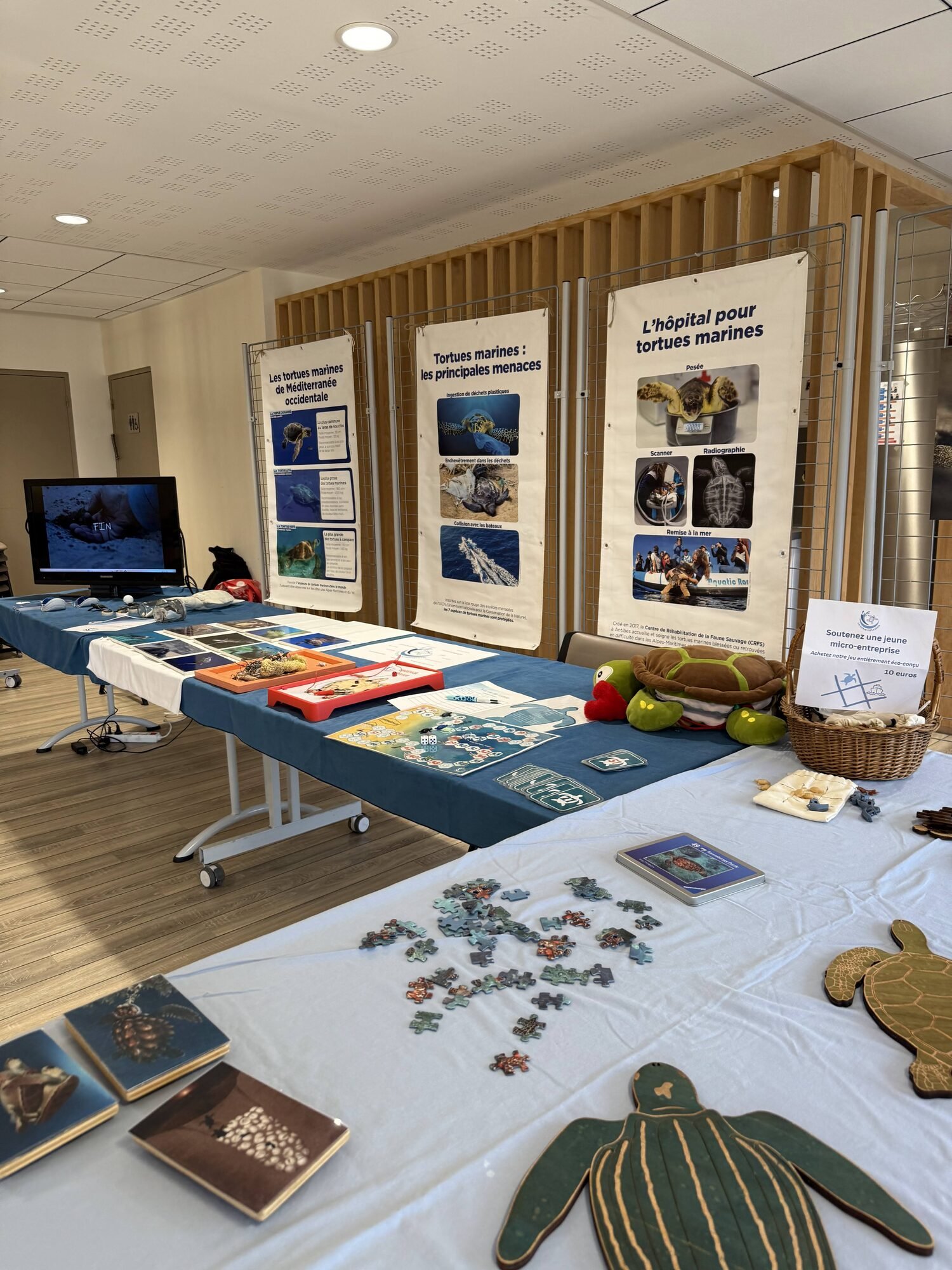 Panneaux d'exposition sur les tortues marines et leurs menaces