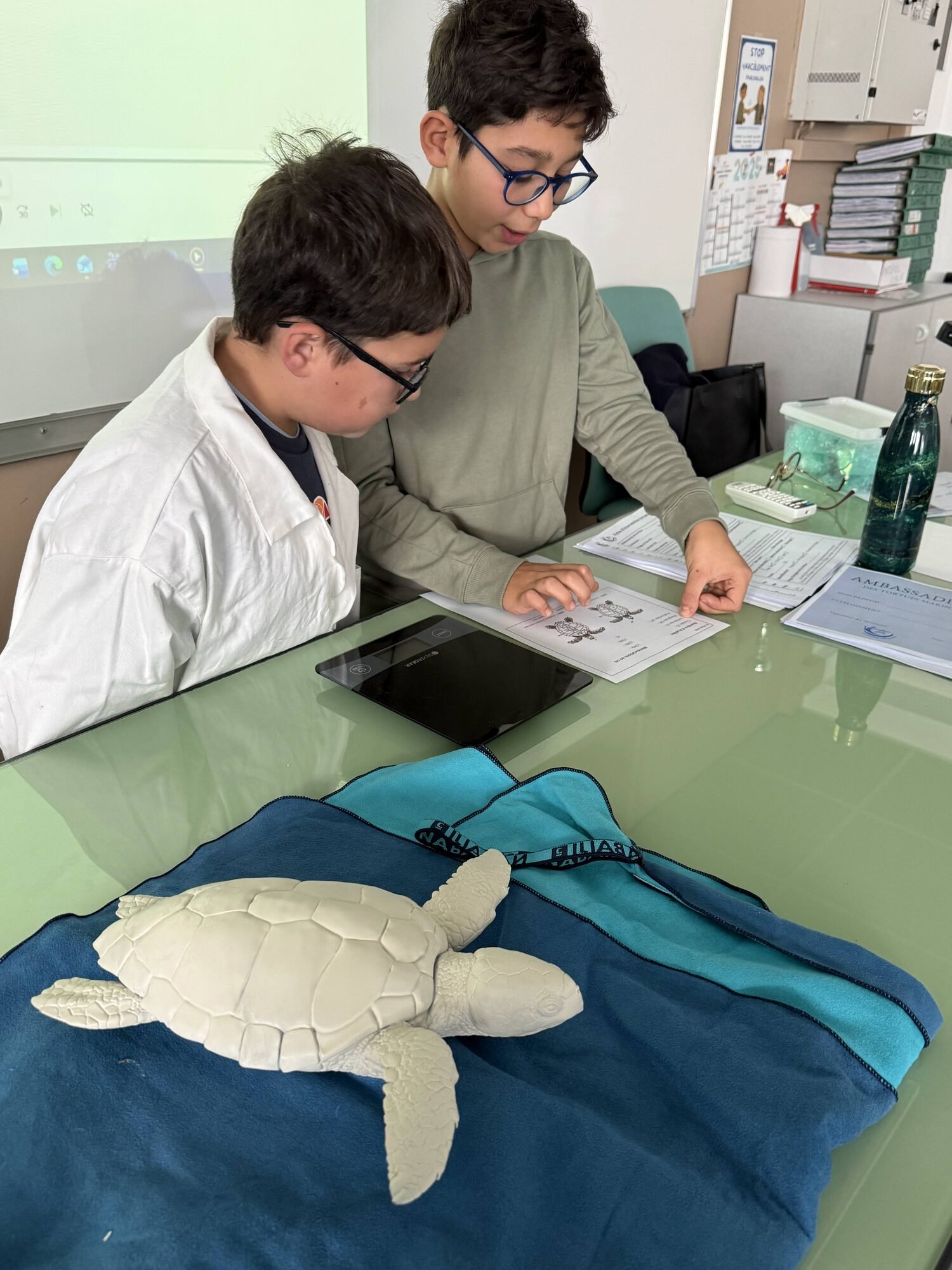 Enfants examinant une maquette de tortue marine lors d'une animation