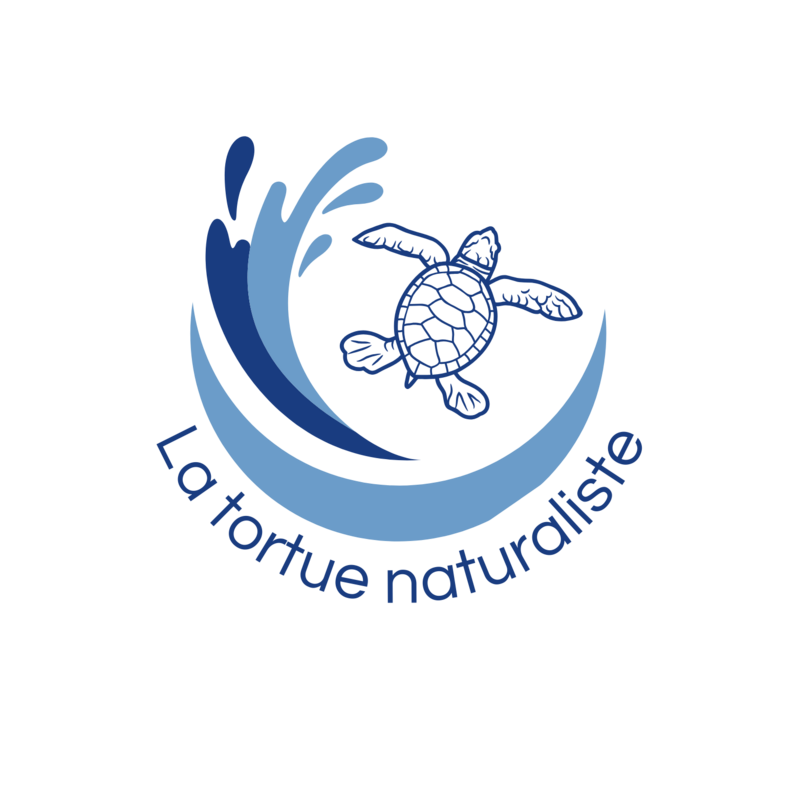 La tortue naturaliste